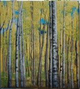 Click For a Larger Image