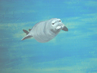 Click for Larger Image