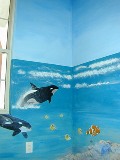 Click for Larger Image