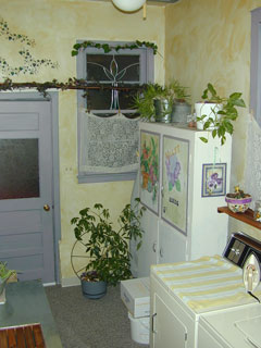 Click For a Larger Image