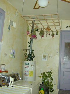 Click For a Larger Image