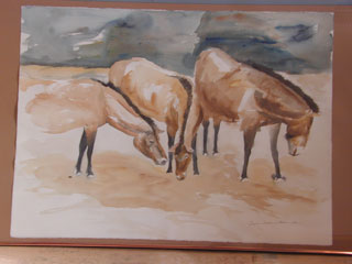 Click for a Larger Image